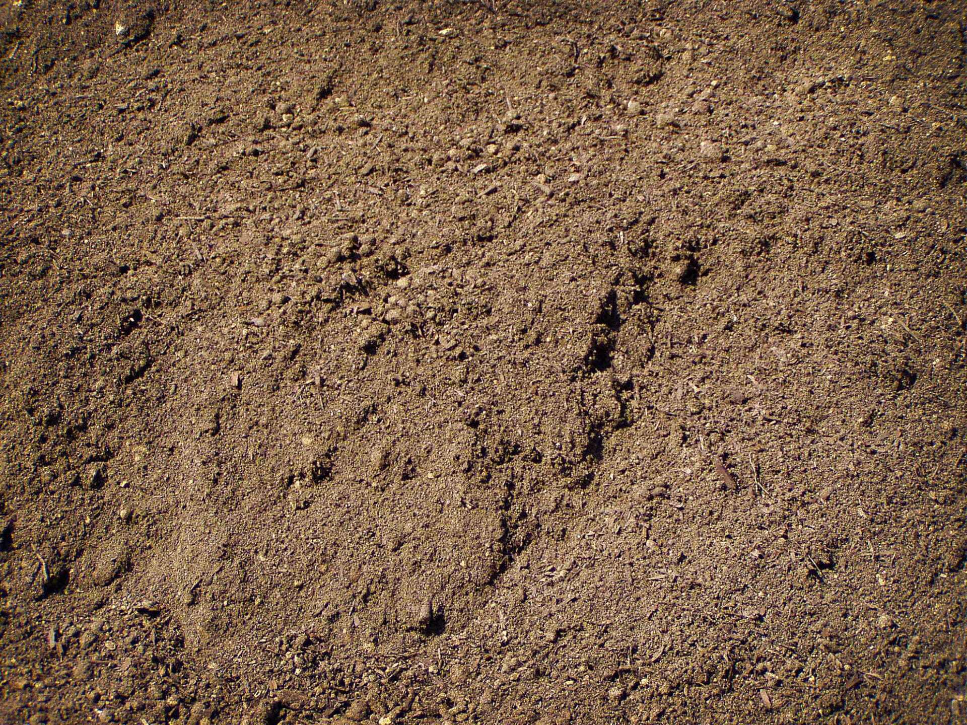 Screened Topsoil