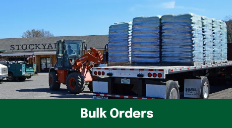 bulk orders banner